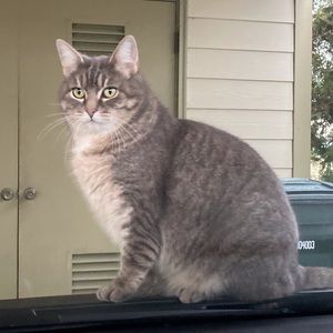 Meet your Posher, Valerie